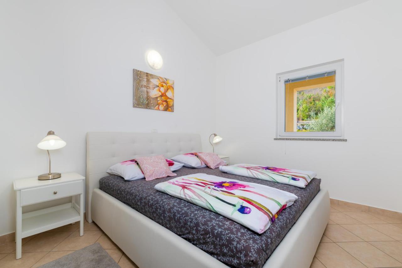 Apartment Panoramica - Ravni Labin  Zewnętrze zdjęcie